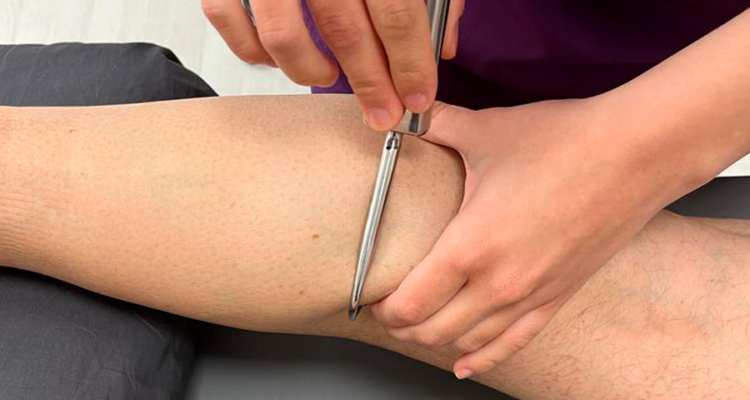 biomotion-fibrolisis